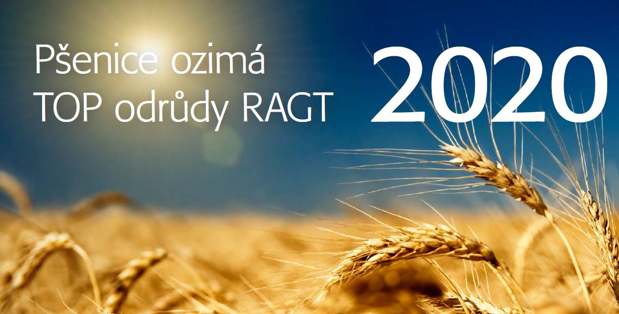 Katalog TOP pšenic 2020
